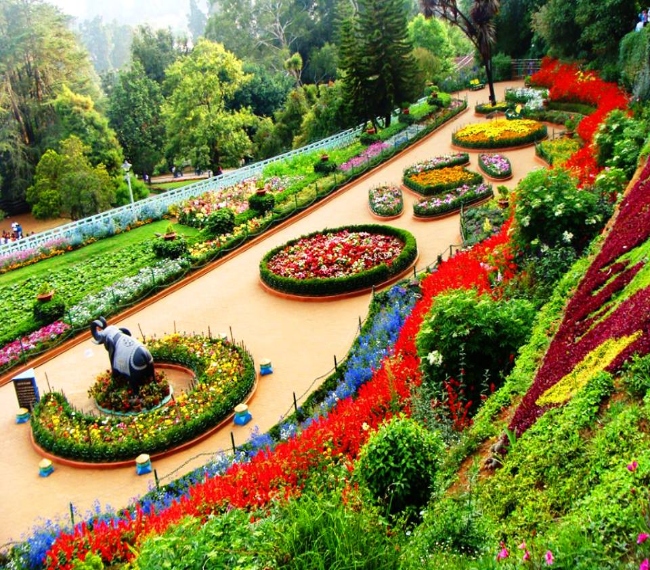 Bangalore to Ooty Tour Package