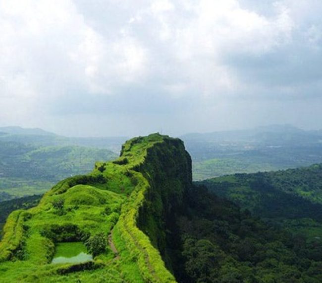 Bangalore to Chikmagalur Tour Package